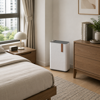 Advanced Dual-Filter Air Purifier