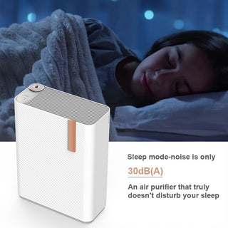 Advanced Dual-Filter Air Purifier