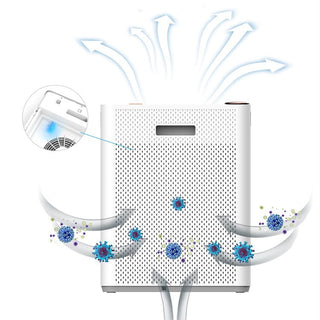 Advanced Dual-Filter Air Purifier