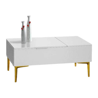 Megafurniture | Celeste Coffee Table with Storage | Coffee Table