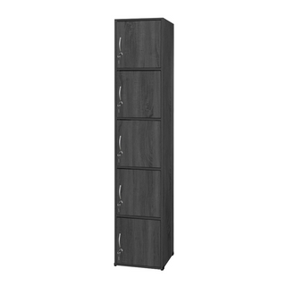 Koen Storage Cabinet (5 Tier)