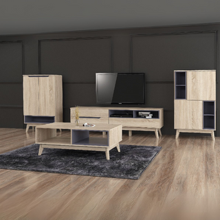 Trystan Living Room Set <br> (Coffee Table + TV Console + Storage Cabinet + Shoe Cabinet) (Copy)