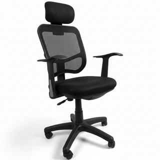 Elveria High Back Mesh Office Chair