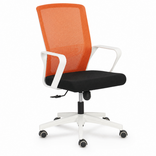 Taviero Mesh Office Chair