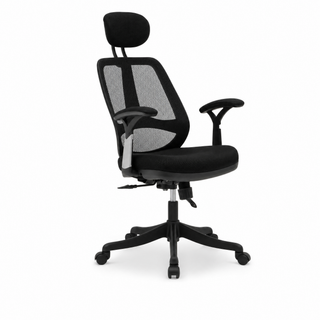 Rosviera High Back Mesh Office Chair