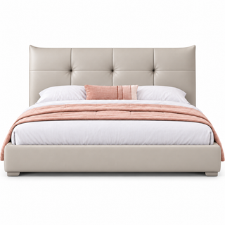 Brivanto Leather Bed Frame