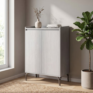 Velmelle 2-Door Shoe Cabinet