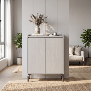 Velmelle 2-Door Shoe Cabinet