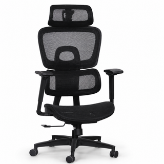 Lavoria High Back Mesh Office Chair
