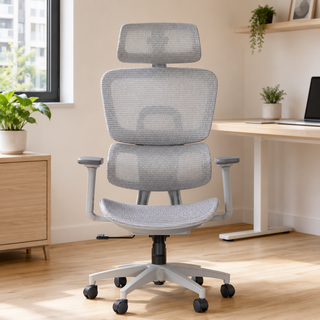 Lavoria High Back Mesh Office Chair