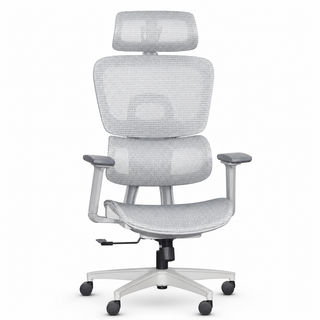 Lavoria High Back Mesh Office Chair