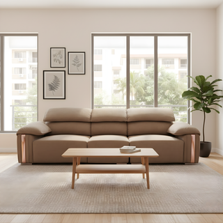 Elricon Fabric Adjustable Armrest Sofa by Esteller (Pet Friendly & Easy Clean)