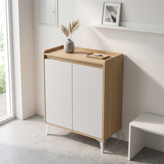Jovelle 2 Door Shoe Cabinet