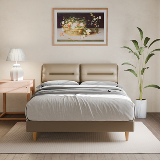 Hanubee Faux Leather Bed Frame