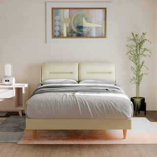 Hanubee Faux Leather Bed Frame