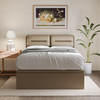 Hanubee Faux Leather Storage Bed