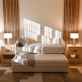 Megafurniture | Zaxe Faux Leather Pull Out Bed with Storage | Pull Out Bed