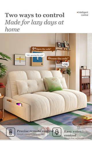 Voice and remote control