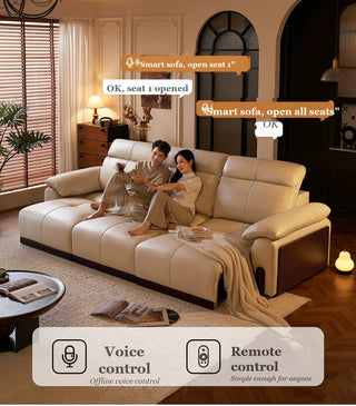 Voice and remote control