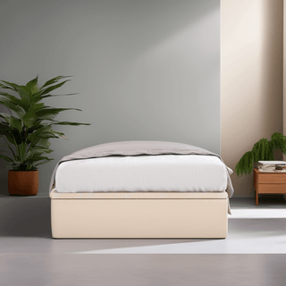 Brenna Storage Bed Frame Singapore