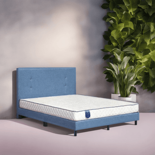 Carlotta Bedframe + Solano Foam Mattress Bed Set Singapore