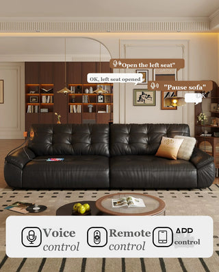 Voice, remote or app control