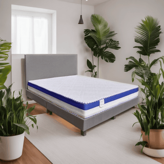 Megafurniture | Cony Bedframe + Solano Spring Mattress Bed Set | Bed + Mattress
