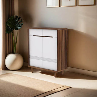 Dune 2 Door Shoe Cabinet Singapore