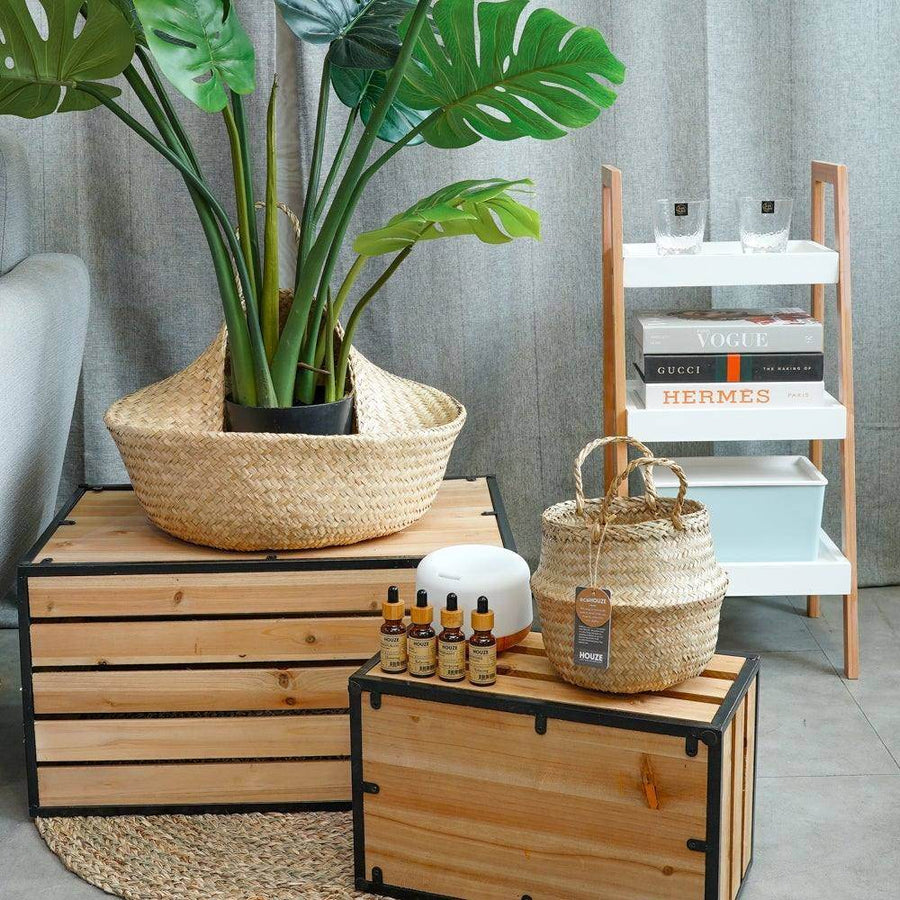 ecoHOUZE Seagrass Plant Basket With Handles - Natural (Large) Singapore