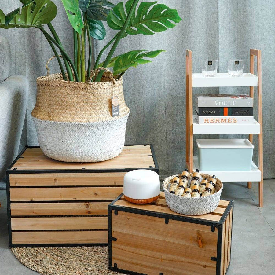 ecoHOUZE Seagrass Plant Basket With Handles - White (Small) Singapore