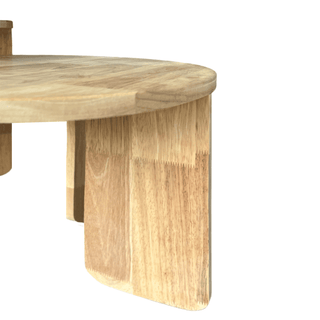 Eden Wooden Nesting Coffee Table Set by Zest Livings Singapore