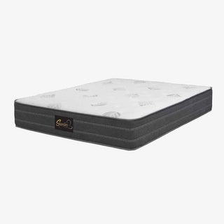 Goodnite Stanley 12" Latex Pocketed Spring Mattress Singapore