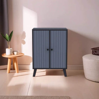 Hester 2 Door Shoe Cabinet Singapore