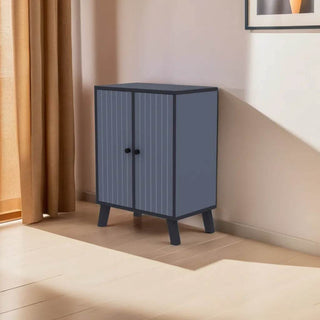 Hester 2 Door Shoe Cabinet Singapore