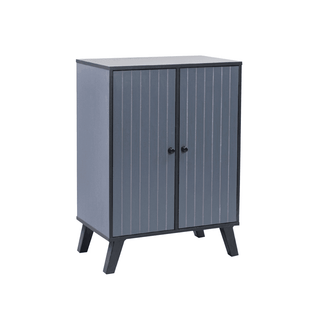 Hester 2 Door Shoe Cabinet Singapore