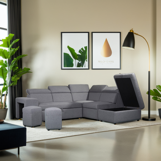 Tomomi Sectional Storage Sofa Bed