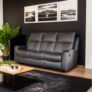 Alula Genuine Leather Manual Recliner Sofa