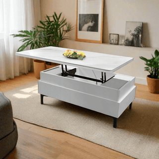 Josie Storage Coffee Table Singapore