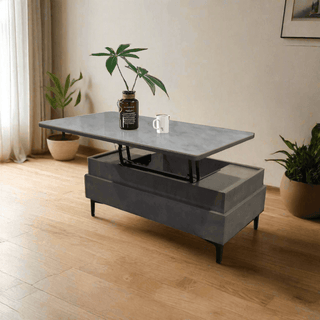 Josie Storage Coffee Table Singapore