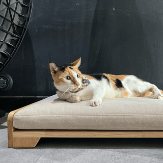 Mara Pet Bed by Zest Livings Singapore