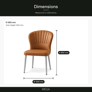 Ferrona Leather Dining Chair - Dimensions