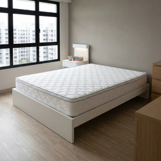 Sleepy Night Tender Sleep Mattress