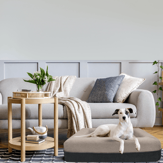 Snooze Pet Bed by Zest Livings Singapore