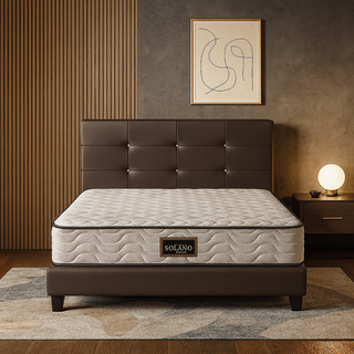 Corissa Brown Faux Leather Bedframe + Solano Foam Mattress Bed Set