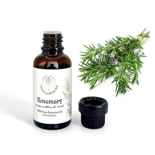 The Cura Herbs: Rosemary 100% Pure Essential Oil Singapore