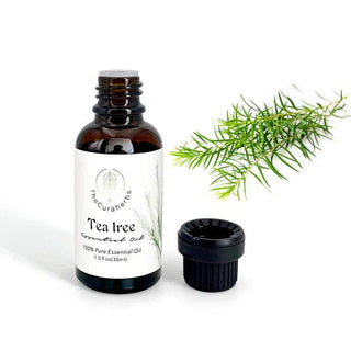 The Cura Herbs: Tea Tree 100% Pure Essential Oil Singapore