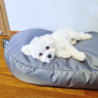 the poochsta’ – water repellent bean bag pet bed by doob (pet friendly) Singapore