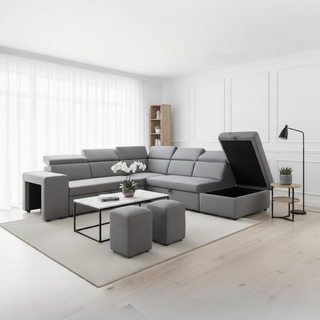 Tomomi Sectional Storage Sofa Bed
