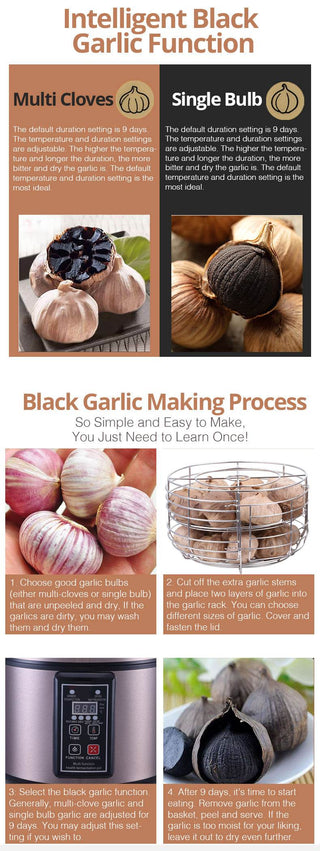 TOYOMI 5.0L Micro-com Multi Healthy Fermentation Pot (Black Garlic Maker) BGM 8810 Singapore